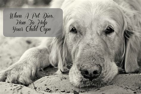 How to help your child cope when a beloved pet dies
